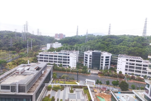 高层景观